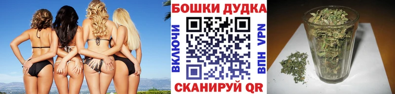 Виды наркотиков купить Кондопога Каннабис  COCAIN  АМФЕТАМИН  Меф мяу мяу 