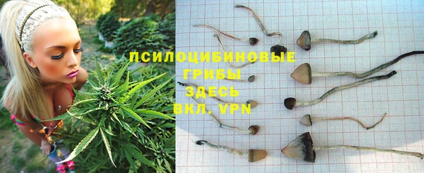 mdpv Богородск