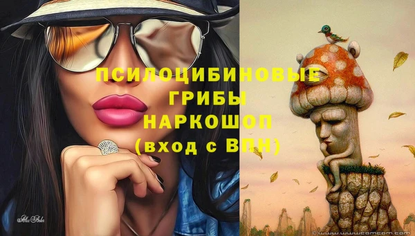 а пвп мука Богданович