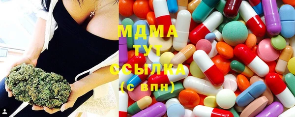 mdpv Богородск