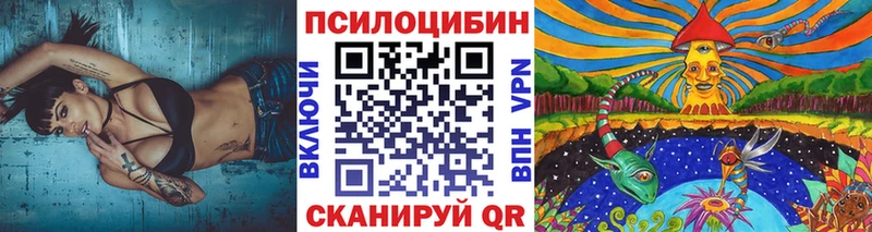 Псилоцибиновые грибы GOLDEN TEACHER  купить наркоту  Кондопога 